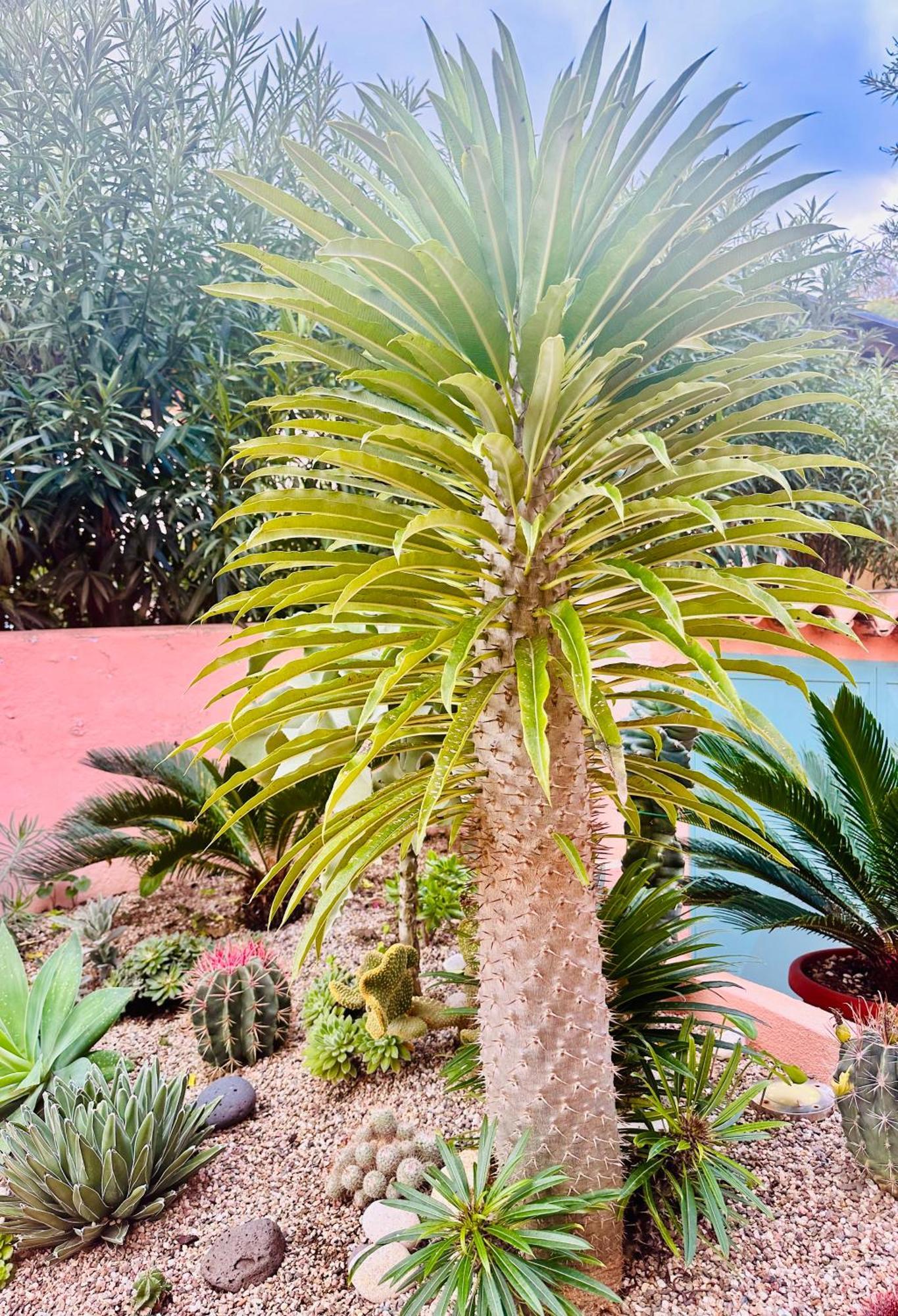 Il Giardino Davanti Al Mare Orosei Luaran gambar